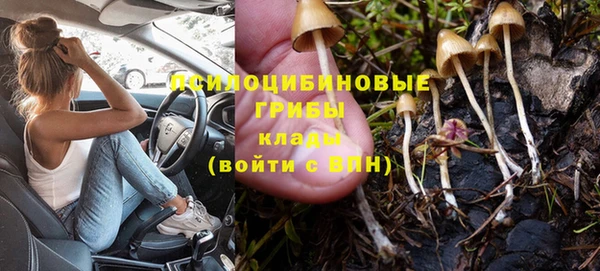 сатива Абинск