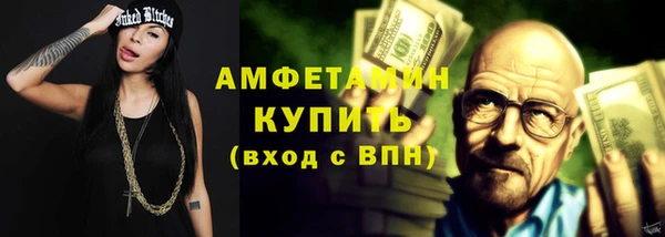 прущие грибы Елизово